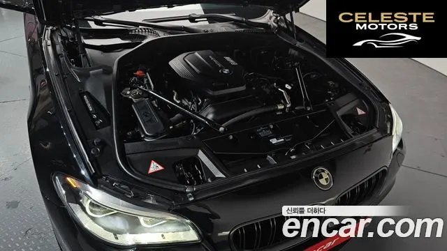 BMW Série 5 (F10) 520d Luxury Plus 2015 — photo 5 sur 33