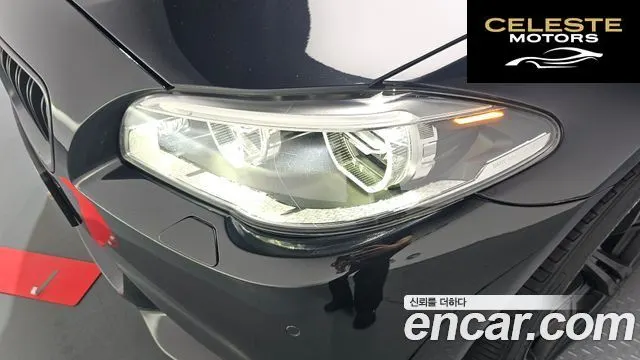 BMW Série 5 (F10) 520d Luxury Plus 2015 — photo 7 sur 33