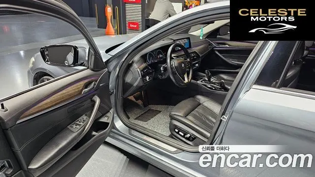 BMW Série 5 (G30) 520d Luxury Plus 2019 — photo 10 sur 20