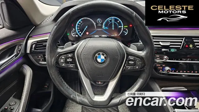 BMW Série 5 (G30) 520d Luxury Plus 2019 — photo 13 sur 20