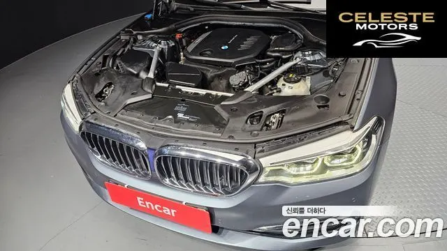 BMW Série 5 (G30) 520d Luxury Plus 2019 — photo 6 sur 20