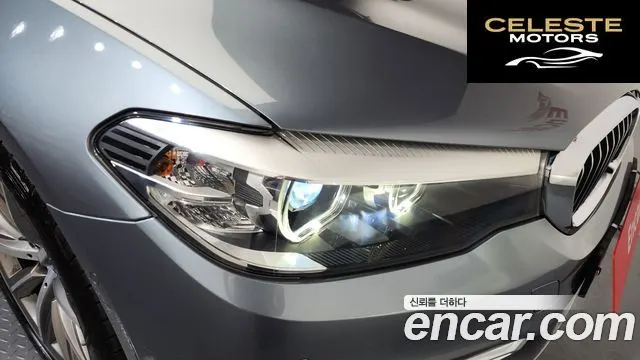BMW Série 5 (G30) 520i Luxury 2018 — photo 8 sur 33