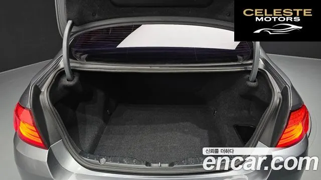 BMW Série 5 (F10) 520d 2013 — photo 20 sur 20