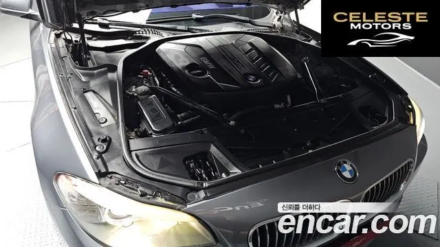 BMW Série 5 (F10) 520d 2013 — photo 6 sur 20