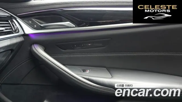 BMW Série 5 (G30) 530i Luxury Plus 2019 — photo 30 sur 33
