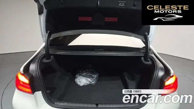 BMW Série 5 (G30) 530i Luxury Plus 2019 — photo 31 sur 33
