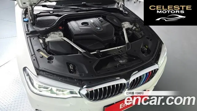 BMW Série 5 (G30) 530i Luxury Plus 2019 — photo 6 sur 33