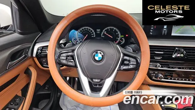 BMW Série 5 (G30) 520d M Sport 2017 — photo 14 sur 20