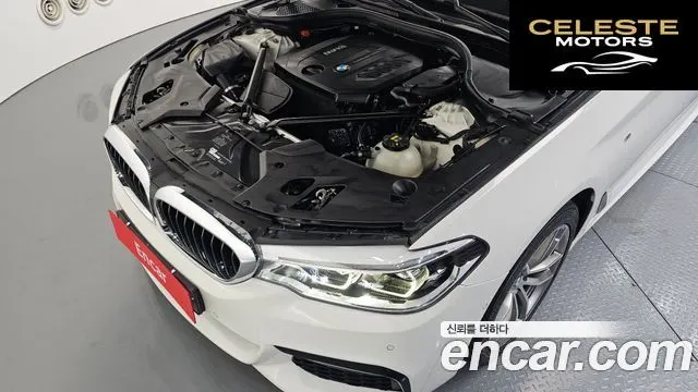 BMW Série 5 (G30) 520d M Sport 2017 — photo 6 sur 20