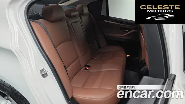 BMW Série 5 (F10) 520d xDrive M Aéro Dynamic 2016 — photo 11 sur 20