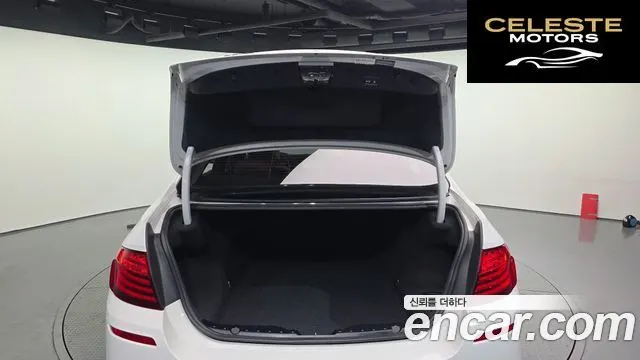 BMW Série 5 (F10) 520d xDrive M Aéro Dynamic 2016 — photo 20 sur 20