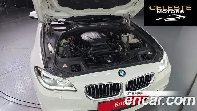 BMW Série 5 (F10) 520d xDrive M Aéro Dynamic 2016 — photo 6 sur 20