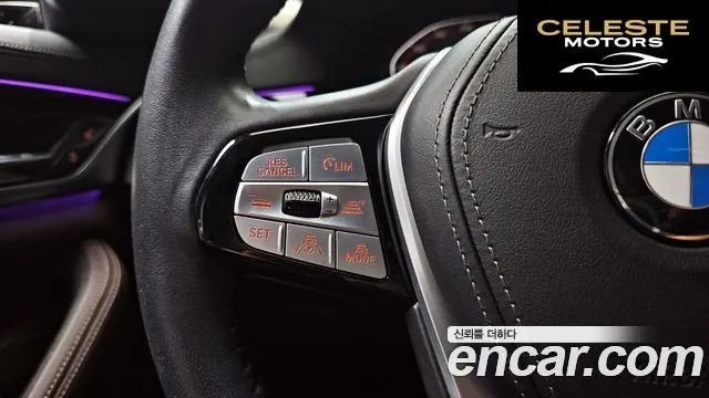 BMW Série 5 (G30) 523d Luxury 2021 — photo 28 sur 31