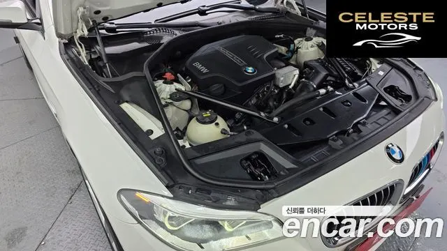 BMW Série 5 (F10) 528i M Aéro Dynamic 2016 — photo 6 sur 20