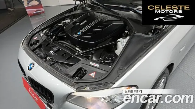 BMW Série 5 (F10) 520d 2013 — photo 6 sur 20