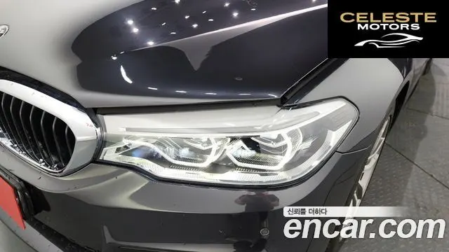 BMW Série 5 (G30) 520d xDrive M Sport Plus 2017 — photo 8 sur 35
