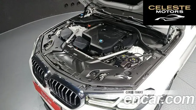 BMW Série 5 (G30) 520i M Sport 2021 — photo 6 sur 30