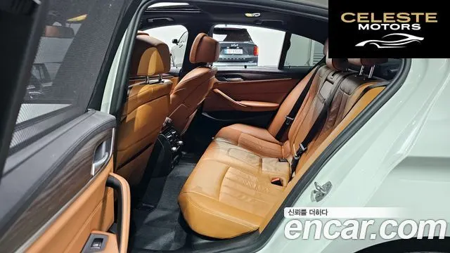 BMW Série 5 (G30) 520d xDrive M Sport Plus 2017 — photo 17 sur 36