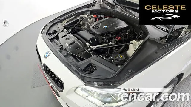 BMW Série 5 (F10) 520d M Aéro Dynamic 2016 — photo 5 sur 34