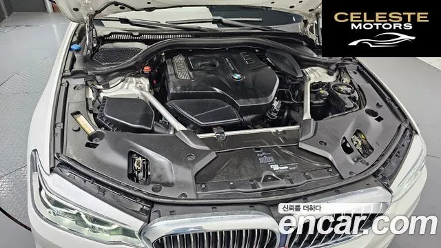 BMW Série 5 (G30) 530i Luxury Plus 2018 — photo 6 sur 20