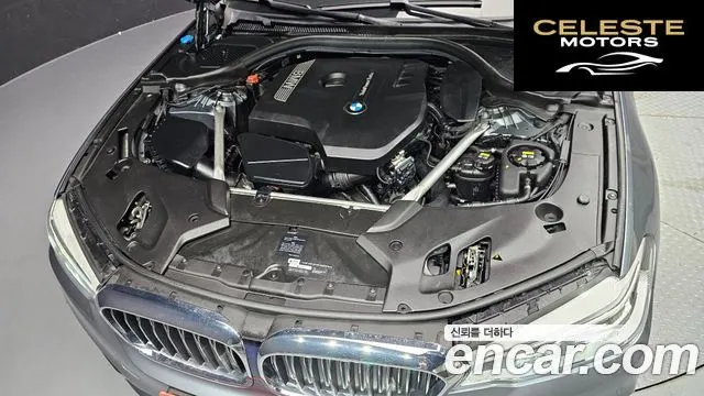 BMW Série 5 (G30) 530i xDrive Luxury Plus 2018 — photo 6 sur 20