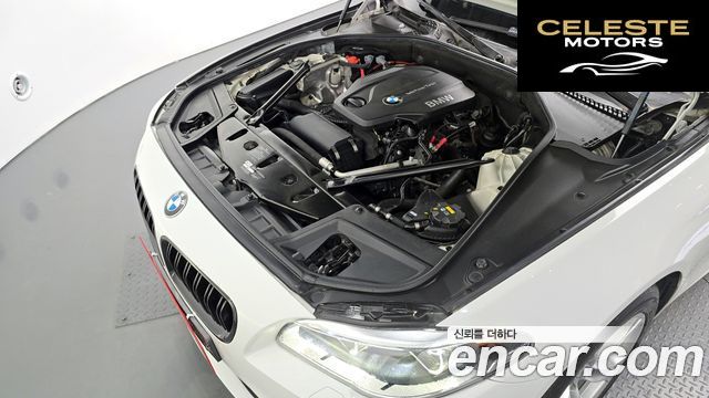 BMW Série 5 (F10) 520d M Aéro Dynamic 2016 — photo 5 sur 34