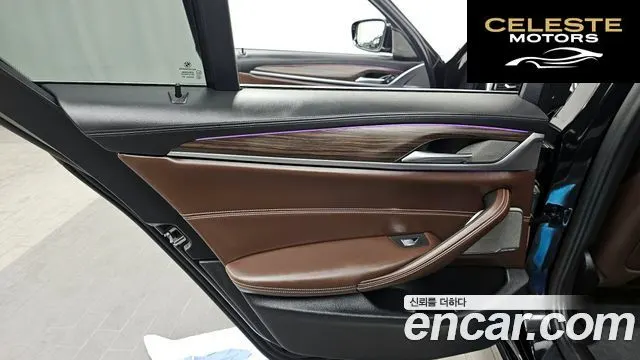 BMW Série 5 (G30) 530i Luxury Plus 2020 — photo 15 sur 32