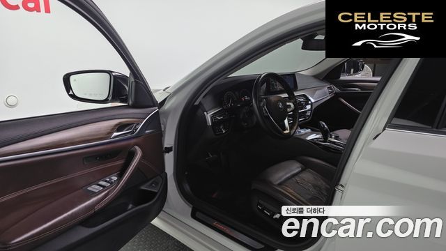 BMW Série 5 (G30) 520d Luxury Plus 2019 — photo 10 sur 20
