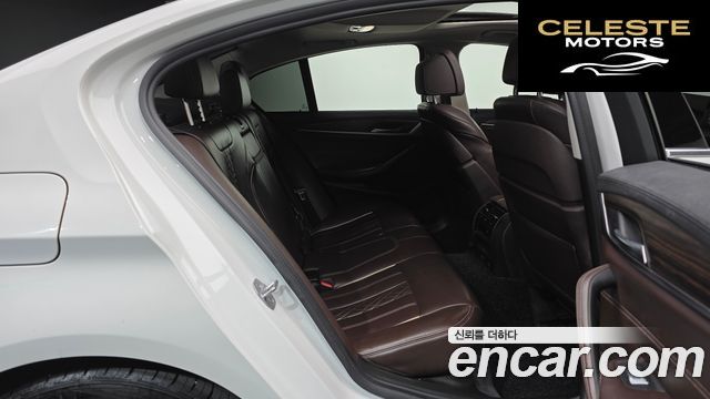 BMW Série 5 (G30) 520d Luxury Plus 2019 — photo 11 sur 20