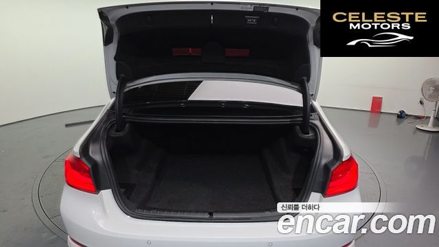 BMW Série 5 (G30) 520d Luxury Plus 2019 — photo 20 sur 20