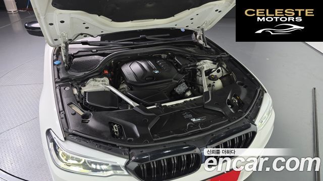 BMW Série 5 (G30) 520d Luxury Plus 2019 — photo 6 sur 20
