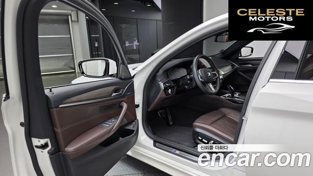 BMW Série 5 (G30) 530e M Sport 2020 — photo 13 sur 35