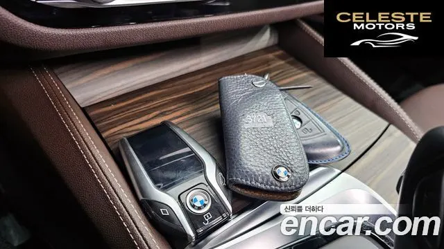 BMW Série 5 (G30) 520d M Sport Plus 2018 — photo 16 sur 43