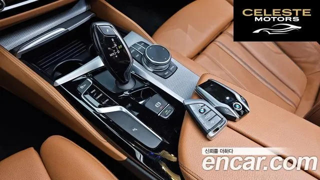 BMW Série 5 (G30) 520d M Sport 2017 — photo 12 sur 38