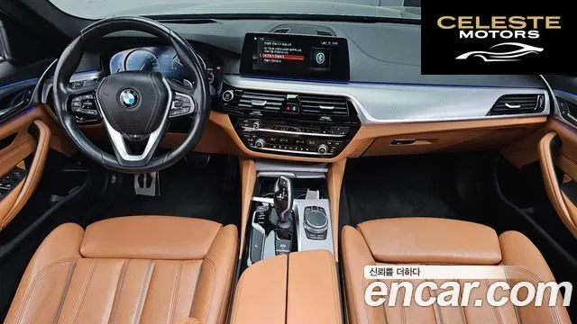 BMW Série 5 (G30) 520d M Sport 2017 — photo 36 sur 38
