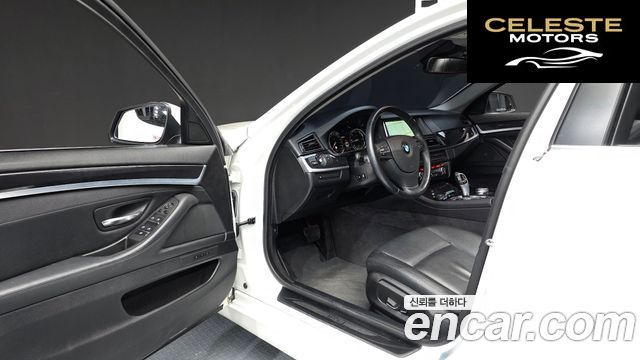 BMW Série 5 (F10) 520d xDrive 2014 — photo 10 sur 20
