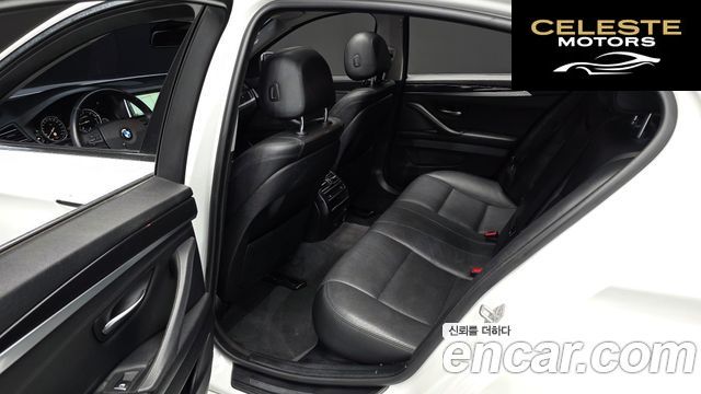 BMW Série 5 (F10) 520d xDrive 2014 — photo 12 sur 20