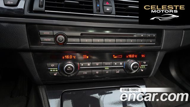 BMW Série 5 (F10) 520d xDrive 2014 — photo 16 sur 20
