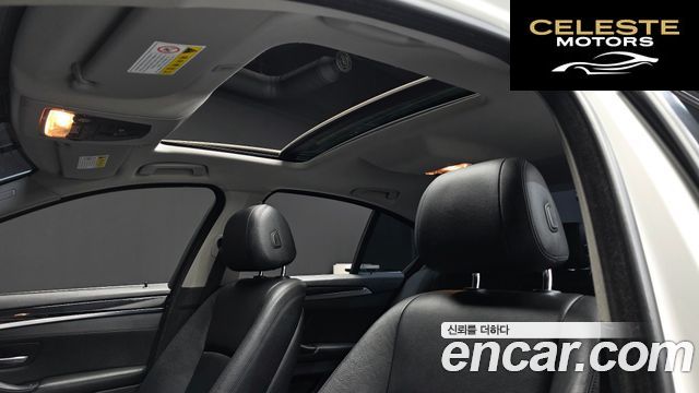 BMW Série 5 (F10) 520d xDrive 2014 — photo 17 sur 20