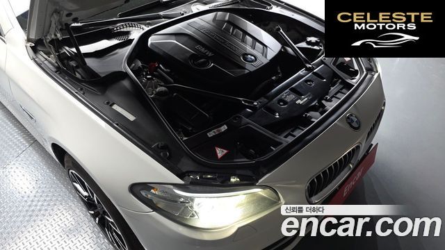 BMW Série 5 (F10) 520d xDrive 2014 — photo 6 sur 20