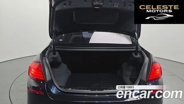 BMW Série 5 (F10) 520d xDrive M Aéro Dynamic 2016 — photo 19 sur 20