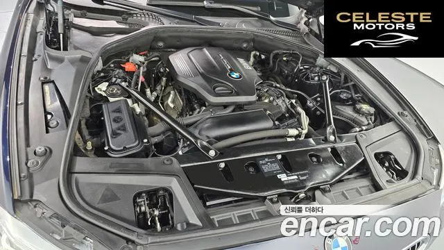 BMW Série 5 (F10) 520d xDrive M Aéro Dynamic 2016 — photo 6 sur 20