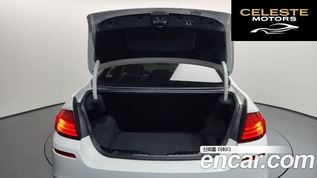 BMW Série 5 (F10) 530d xDrive M Aéro Dynamic 2016 — photo 19 sur 20