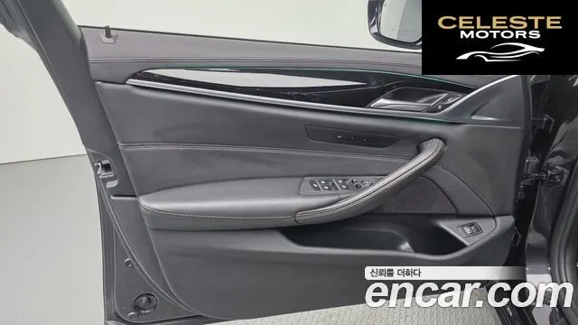 BMW Série 5 (G30) 520d Luxury Spécial Edition 2018 — photo 14 sur 33