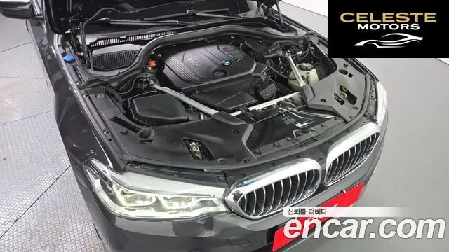 BMW Série 5 (G30) 520d Luxury Spécial Edition 2018 — photo 6 sur 33
