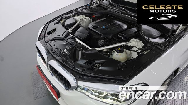 BMW Série 5 (G30) 520d xDrive M Sport Plus 2019 — photo 5 sur 37