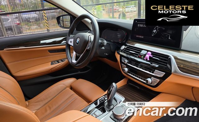 BMW Série 5 (G30) 520i Luxury 2021 — photo 6 sur 8