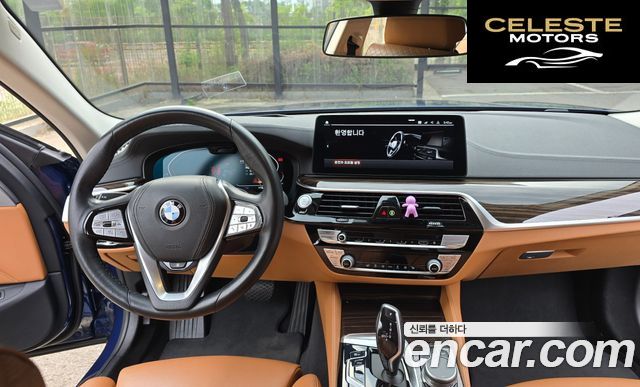 BMW Série 5 (G30) 520i Luxury 2021 — photo 7 sur 8