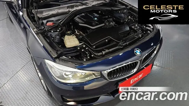 BMW Série 3 GT (F34) GT 320d 2016 — photo 6 sur 20