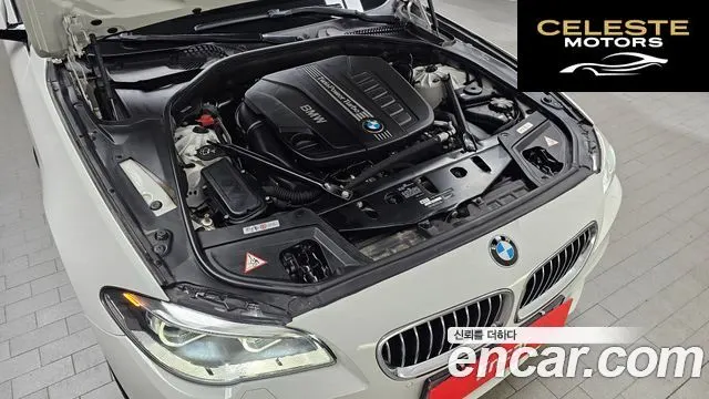 BMW Série 5 (F10) 530d xDrive M Aéro Dynamic 2016 — photo 6 sur 20
